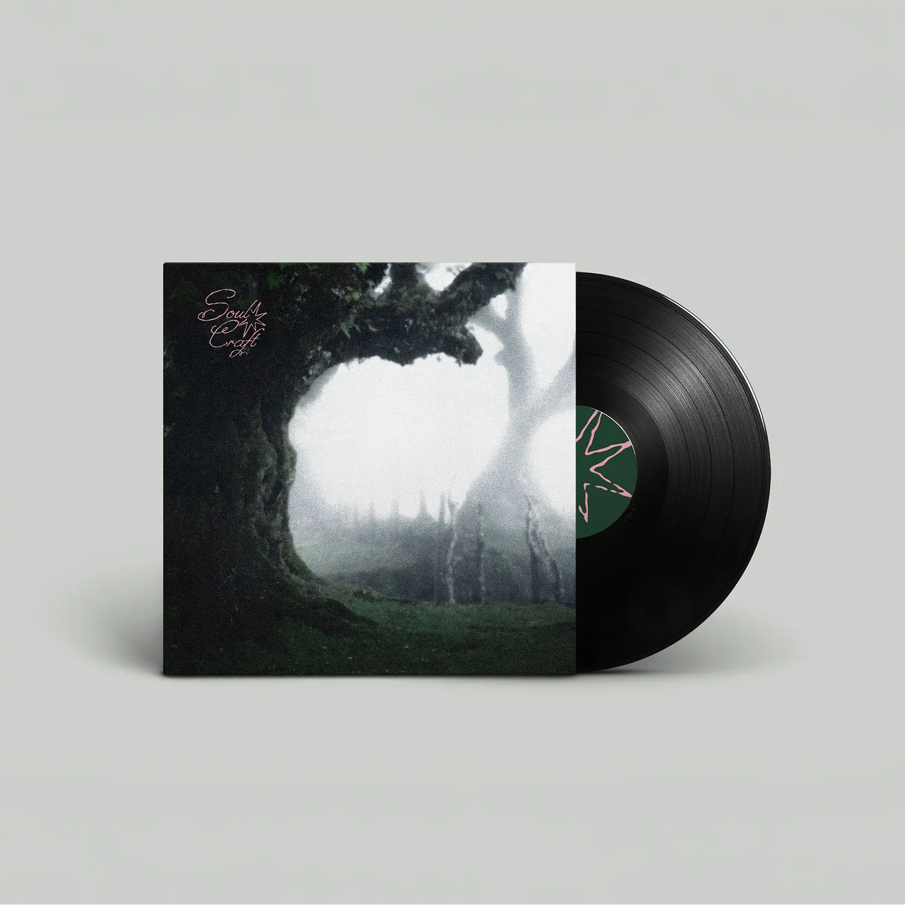 Mockup de vinyle