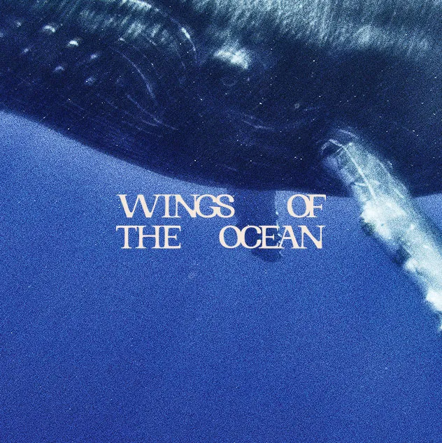 Logo de Wings of the Ocean sur une image de baleine